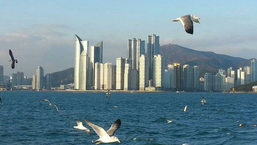 海云台的民宿