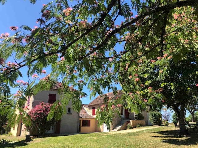 萨拉拉卡内达 (Sarlat-la-Canéda)的民宿