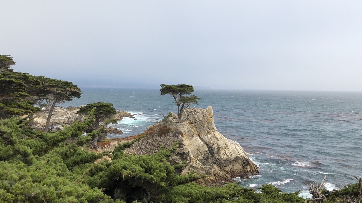 这是您在加利福尼亚州蒙特雷的房源。 3间卧室； 2个卫生间