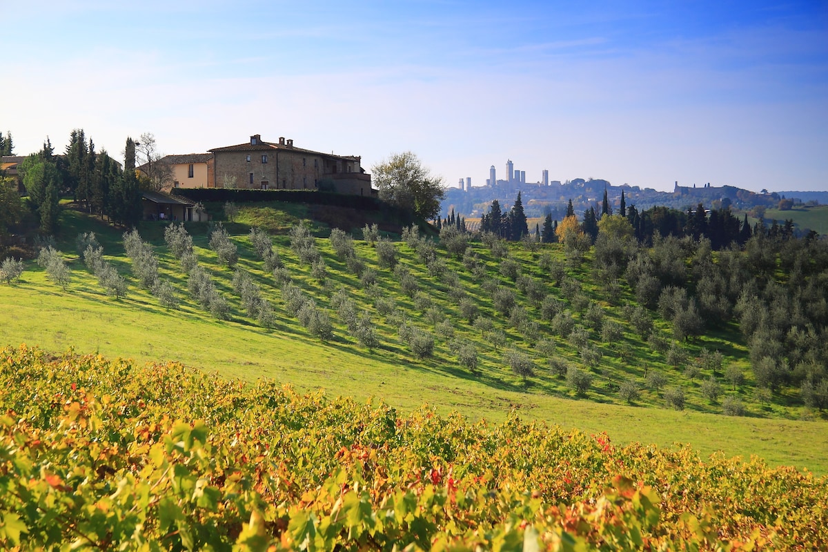 "SEI", Montegonfoli, San Gimignano