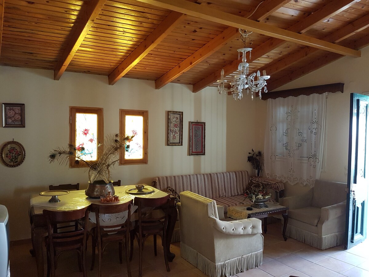 Traditional House in Soulinari,Korinthia fast WiFi