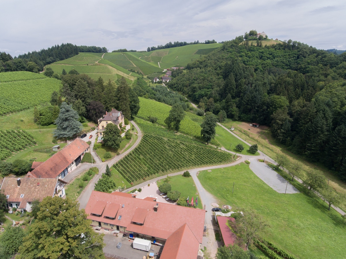 Wein Lodge Durbach - Josephsberg