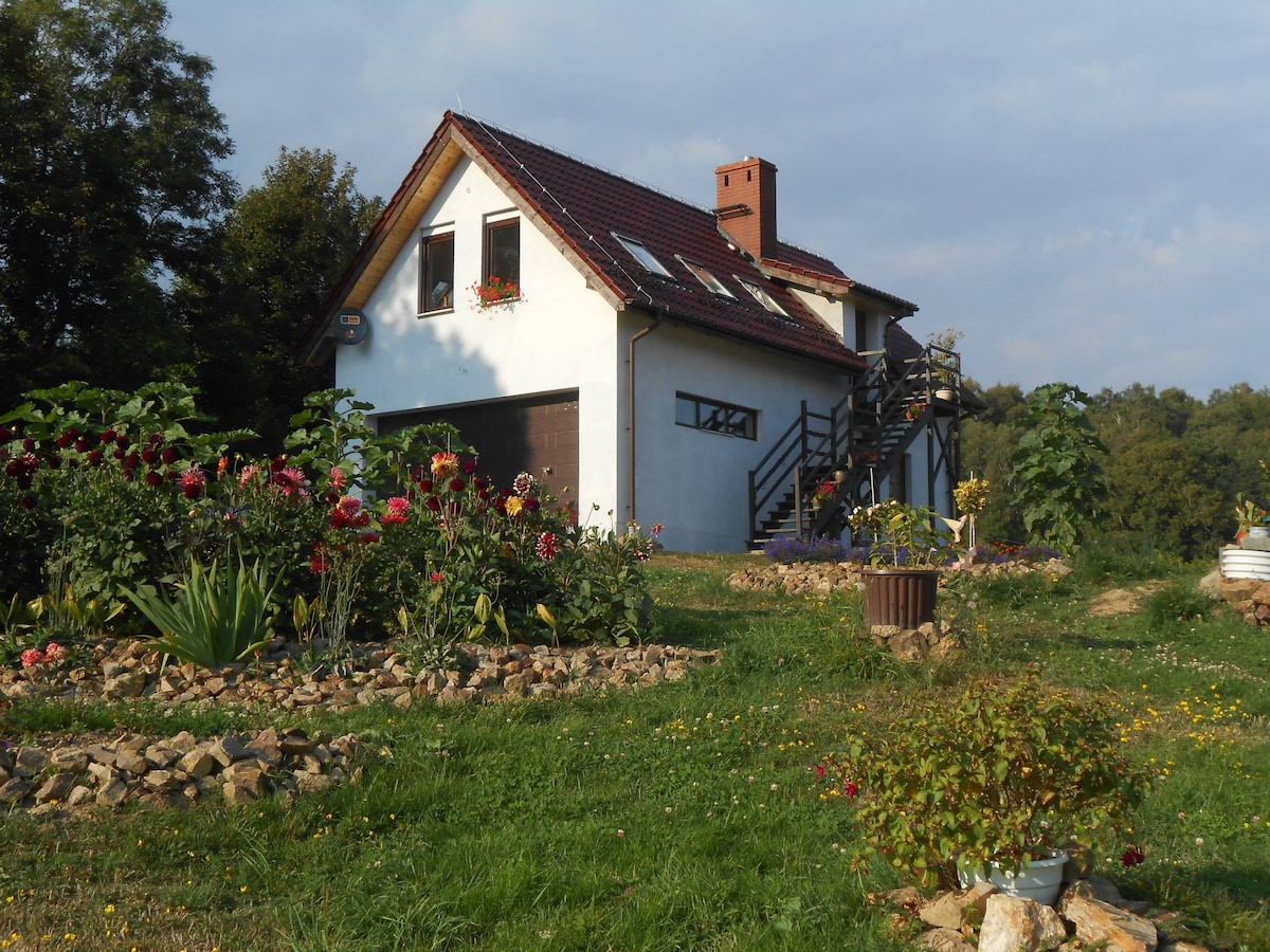 Halinówka in the Owl Mountains