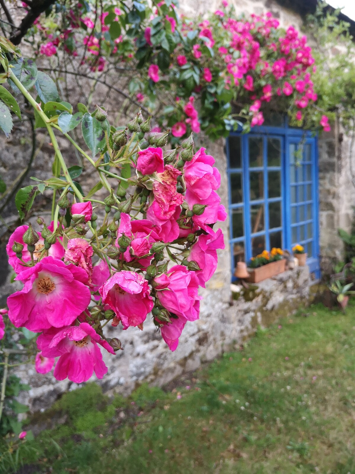 Chambres de charme dans un jardin botanique privé