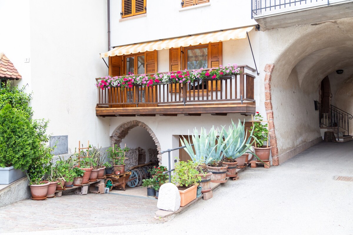 Nonna Tullia 's -位于Val di Non village的公寓