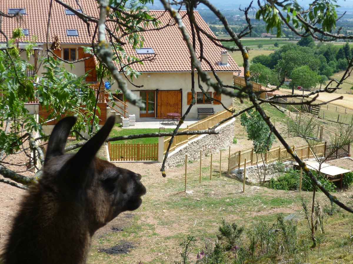 Le gîte de la Bruyère aux lamas