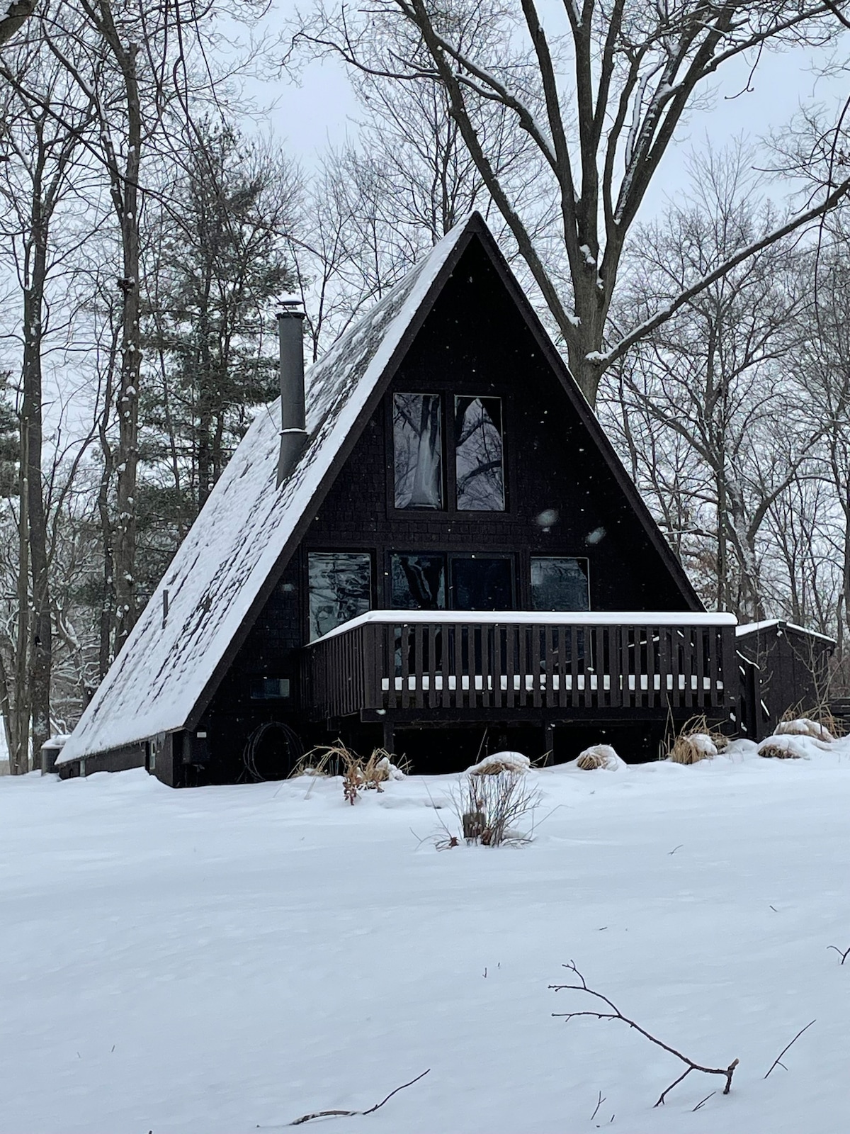 The Jewell of Michigan A-frame