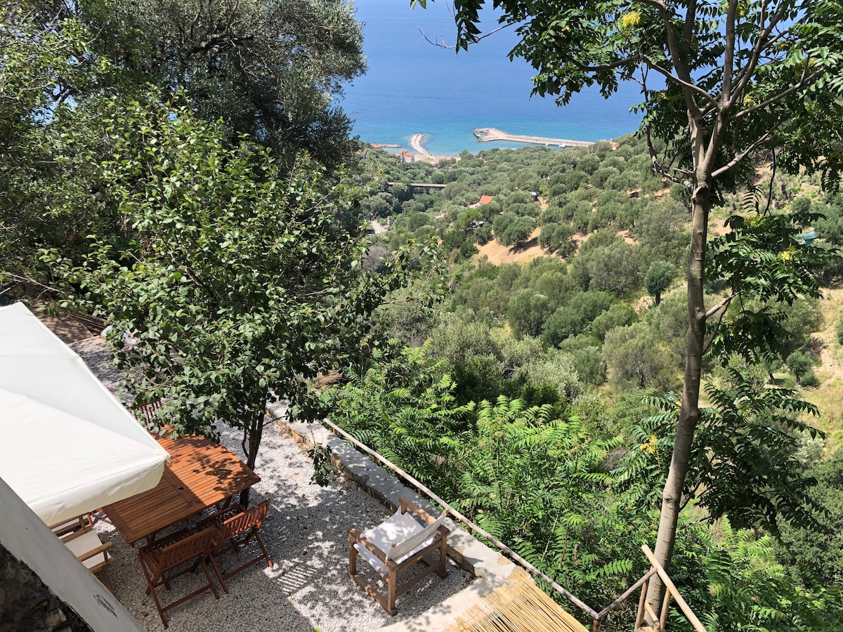 Sea View Private House & Garden in Pisciotta