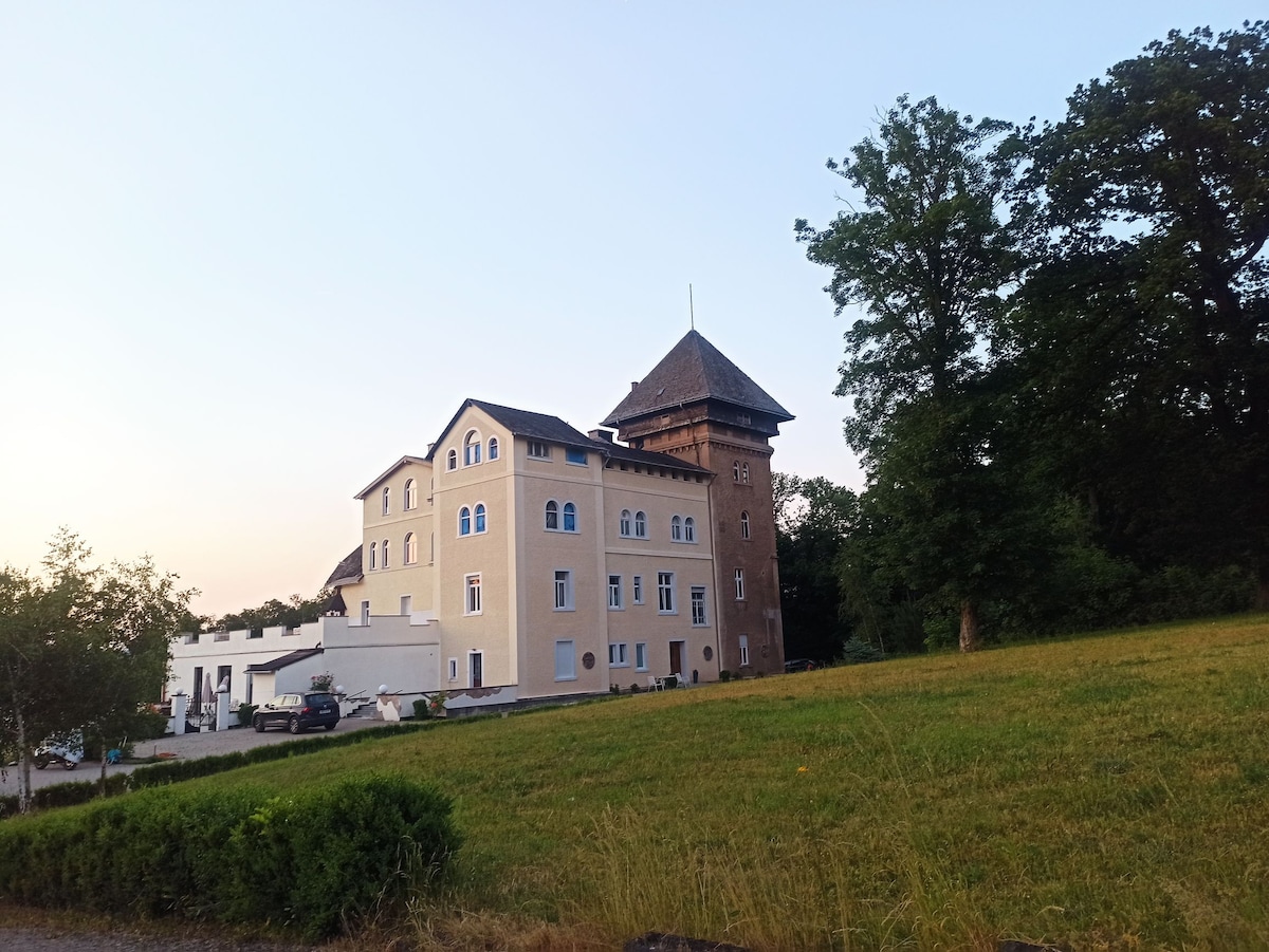 Room "Tower" Castle with Rhinevalley View