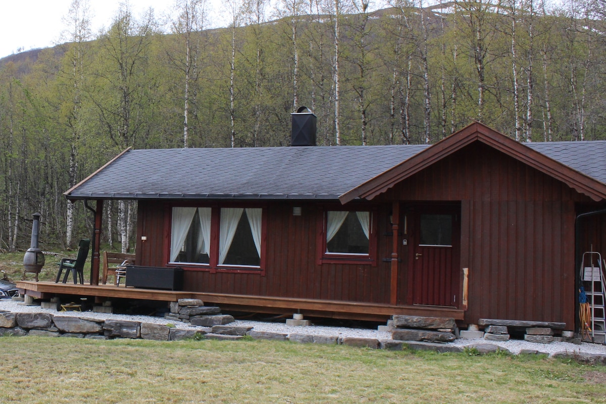 Myrkdalen小屋（ Voss/Nærøyfjord/Flåm地区）