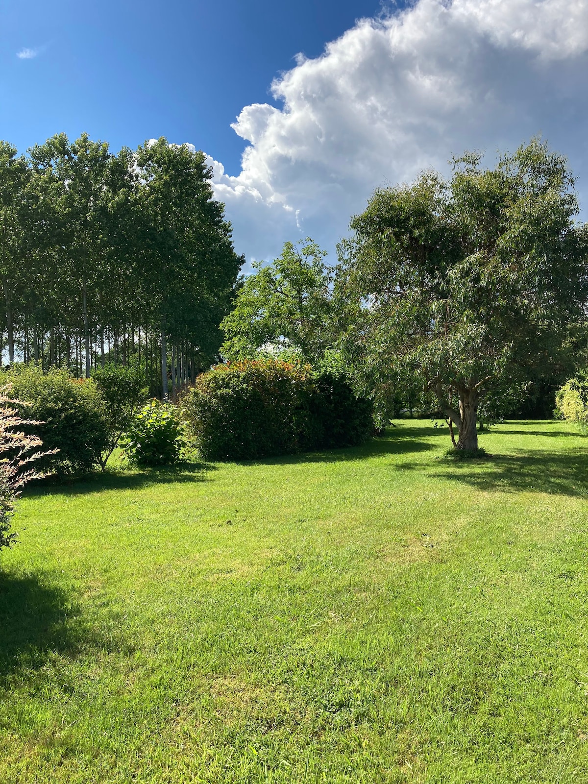 Beau gite au coeur de la forêt girondine