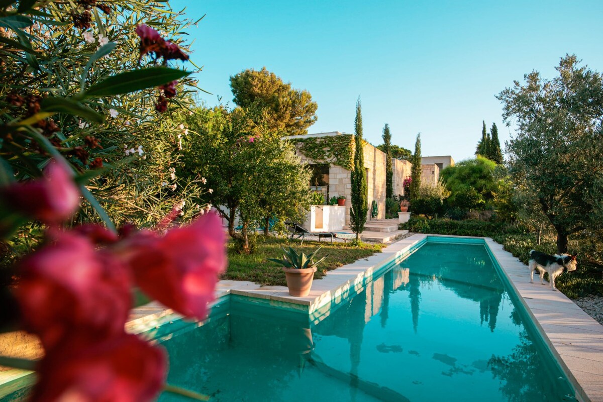 玫瑰别墅（ Villa Rose ）设有美丽的花园和泳池！
