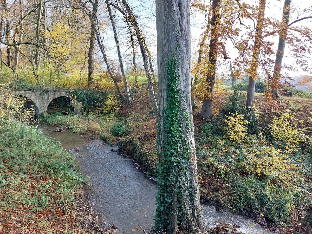 Gîte à la campagne 15 personnes maxi