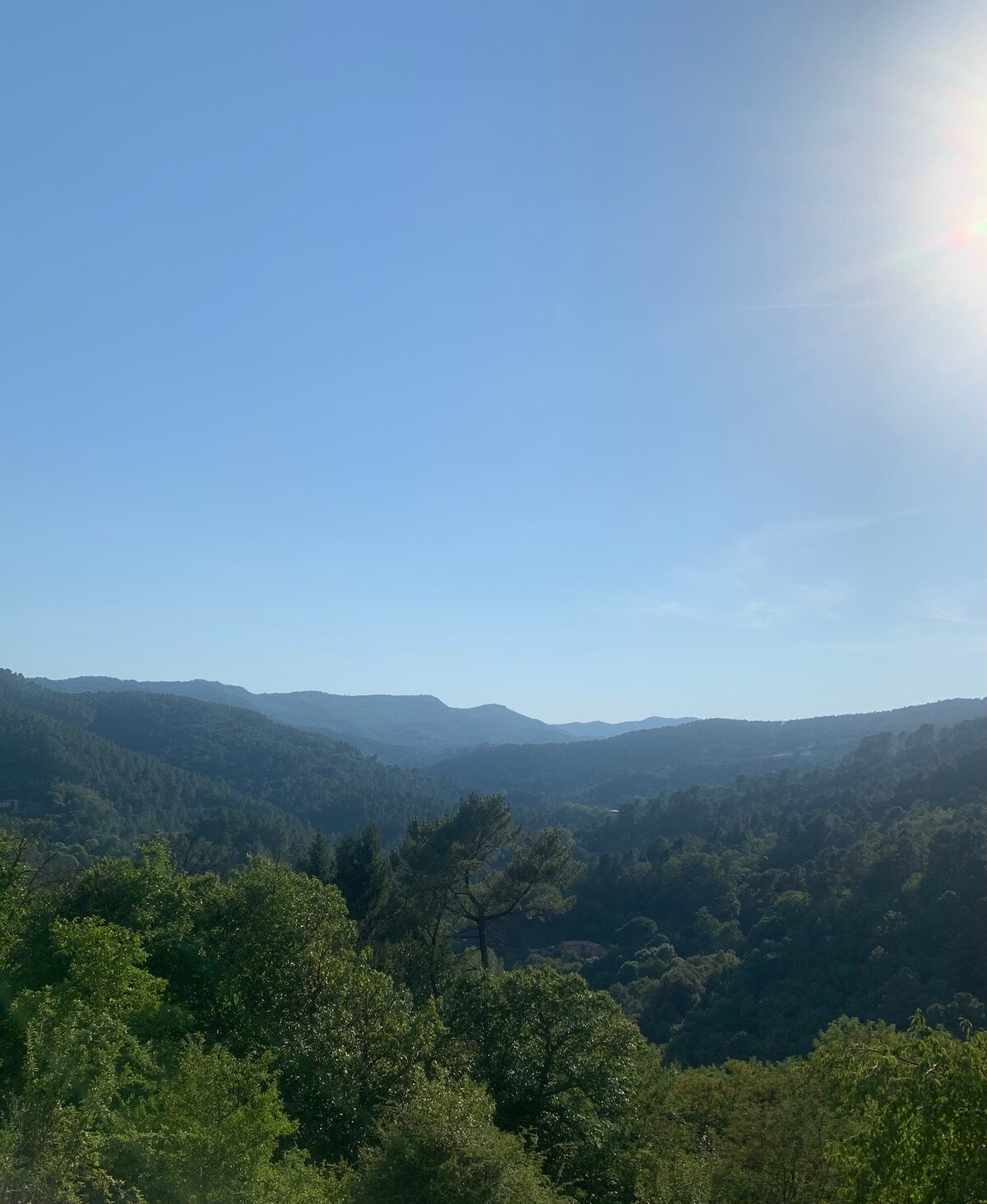 Appartement les pins qui chuchotent aux acacias