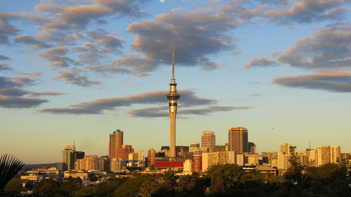 Central Ponsonby ，可欣赏城市景观