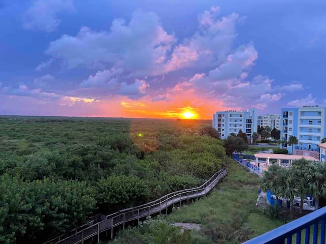 新士麦那海滩(New Smyrna Beach)的民宿