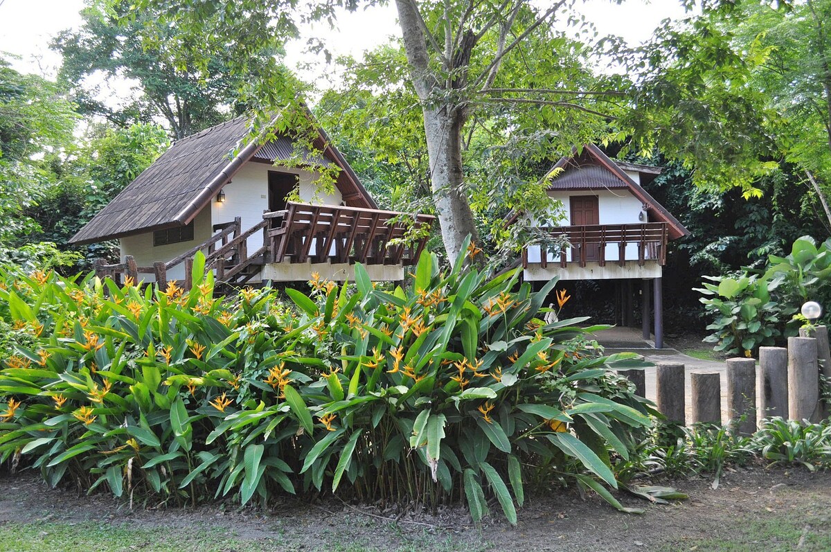 考艾丛林之屋度假屋（ The Jungle House, Khaoyai ）