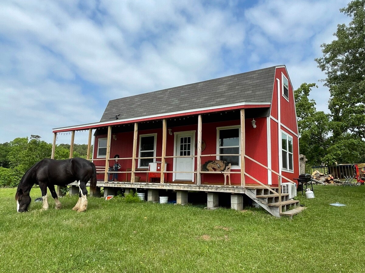 骆驼、红色小屋等！万花筒牧场