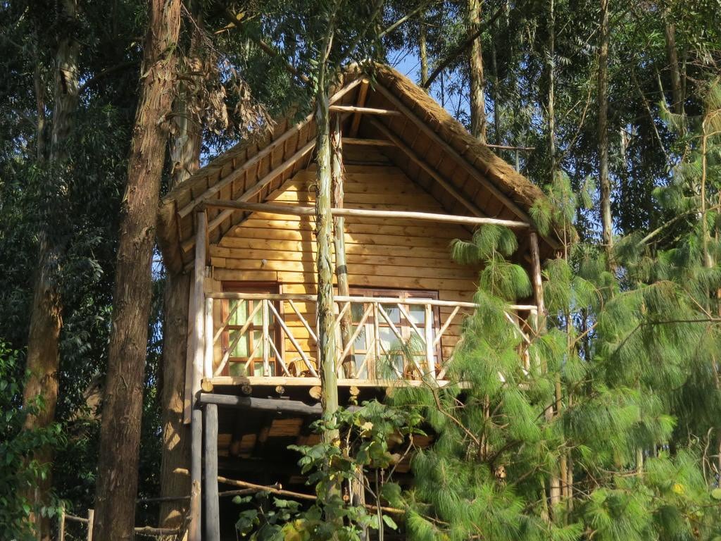 Agapanthus Treehouse, Itambira Island, Bunyonyi