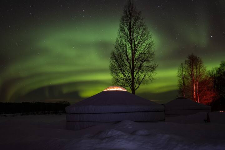 罗瓦涅米(Rovaniemi)的民宿