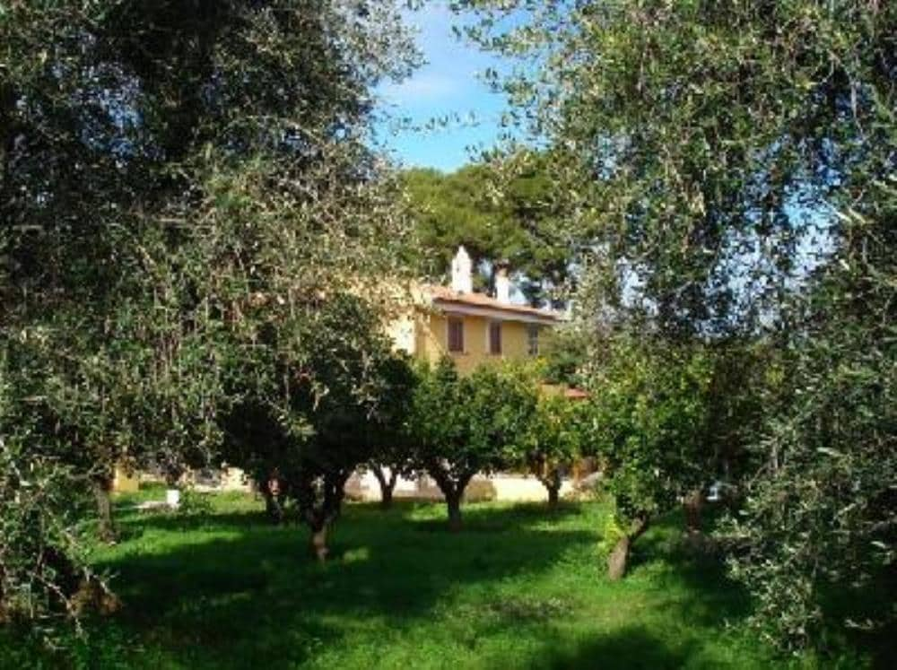 Casa immersa nel verde di ulivi