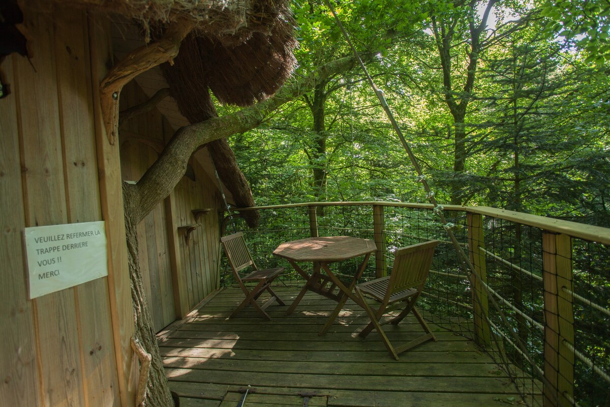 Glamping Tree House Ben Nevis Treuscoat