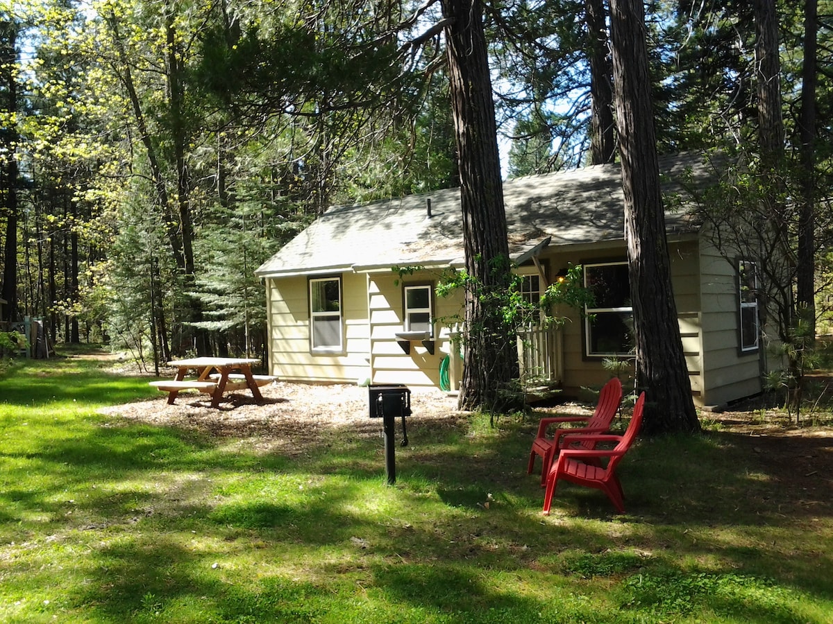 Mt Lassen Cabin Grace Lake Resort # 6