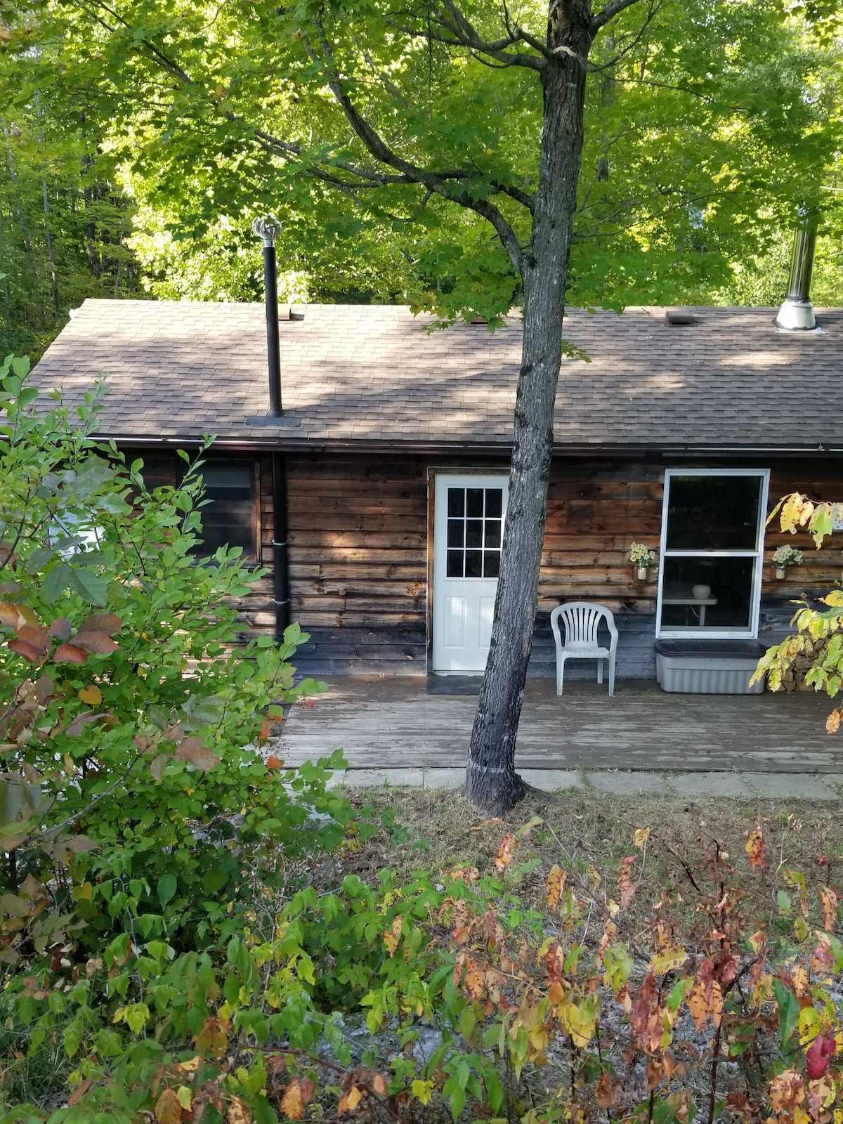 "Sam Cabin on Harlowe" Rustic cabin by crown land