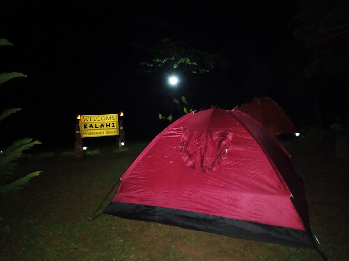 Quiet and Comfy Family Tent Pitching  by the lake