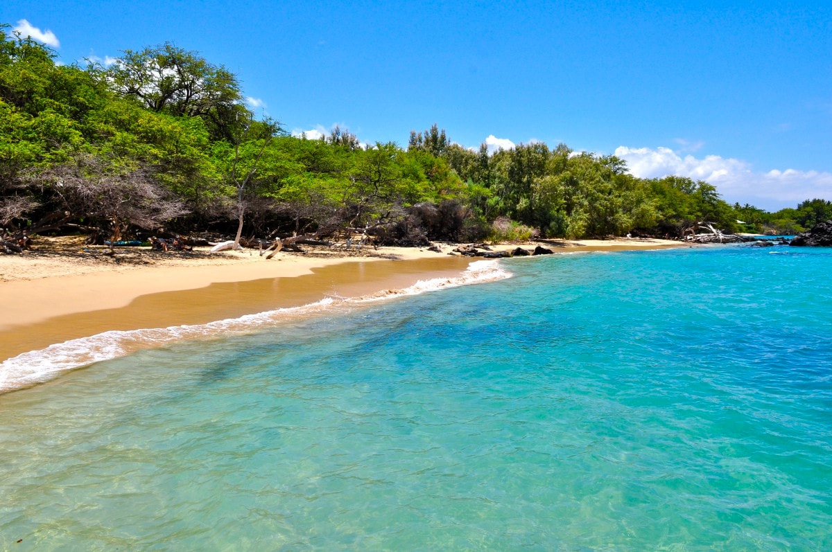 Lalamilo Beach House -就在Waialea Bay上！