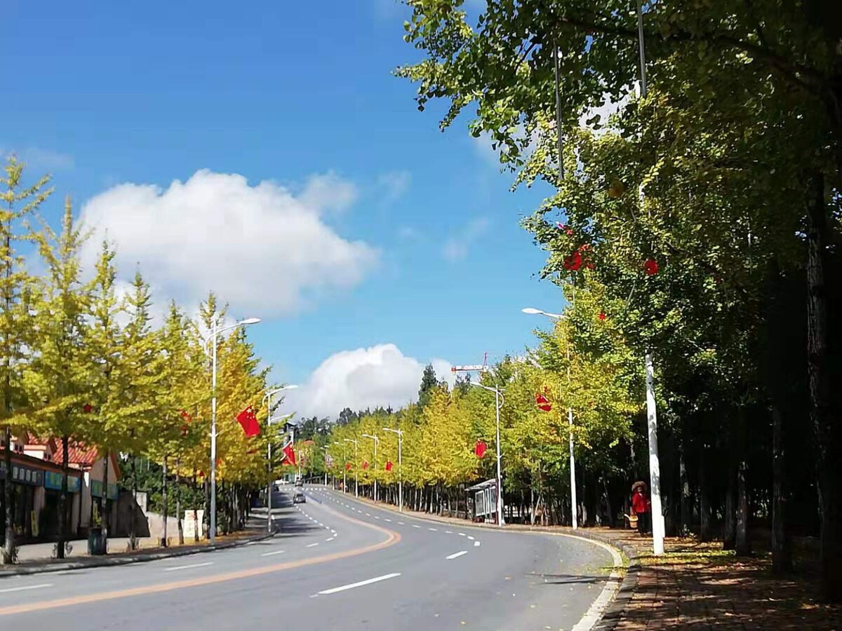 重庆仙女山木里小镇图片