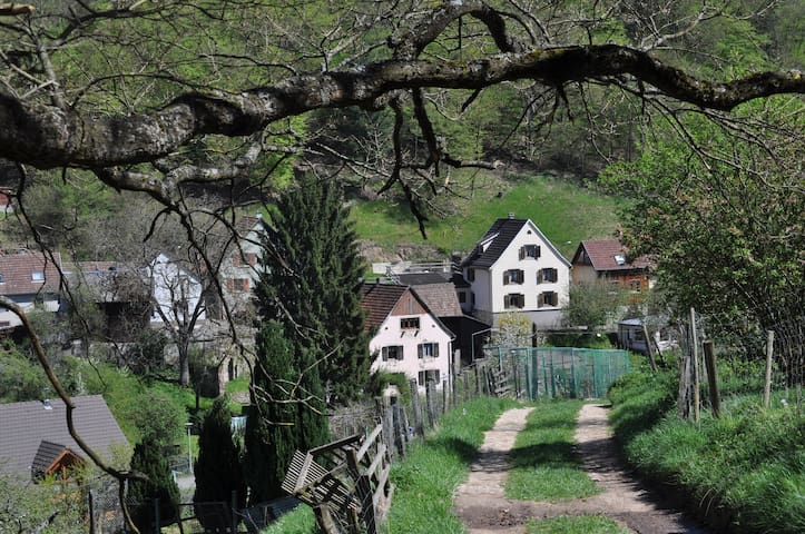 Eschbach-au-Val的民宿