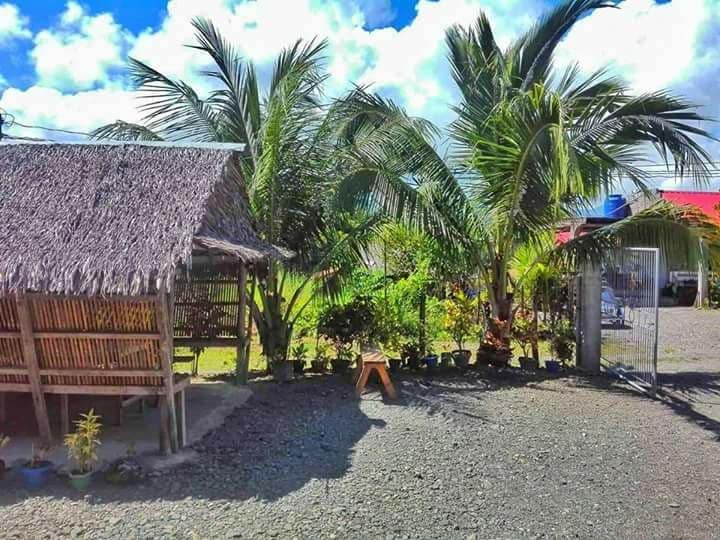 巴莱尔婴儿旅馆（ Baler BabyBoyz Homestay ）