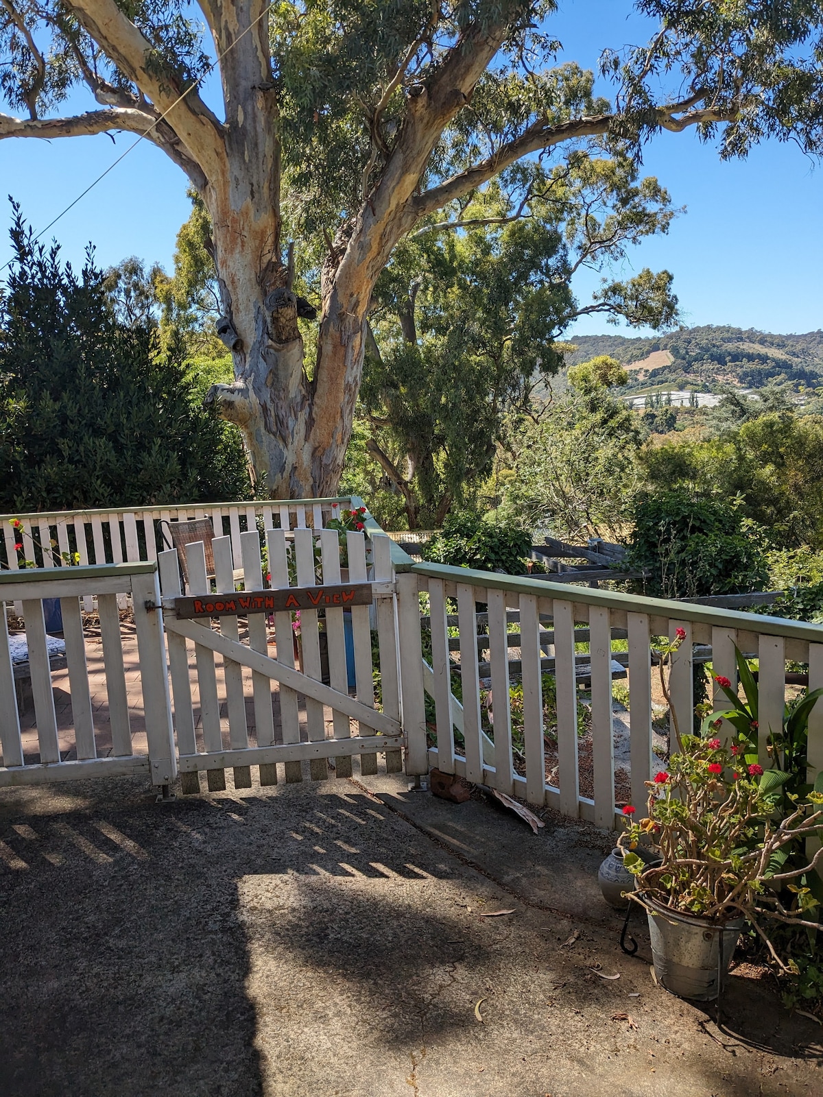 Room With A View (of the foothills)