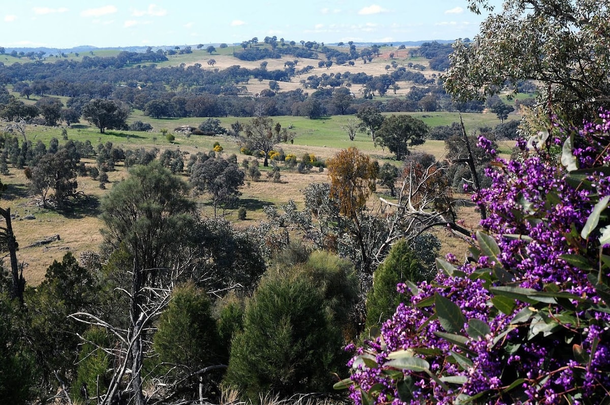 Frogs 'Hole Creek, A Nature Lovers' Dream