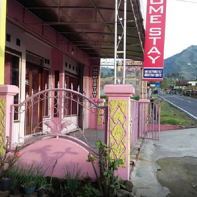 Comfort and Cheap Homestay in Dieng. Amazing view