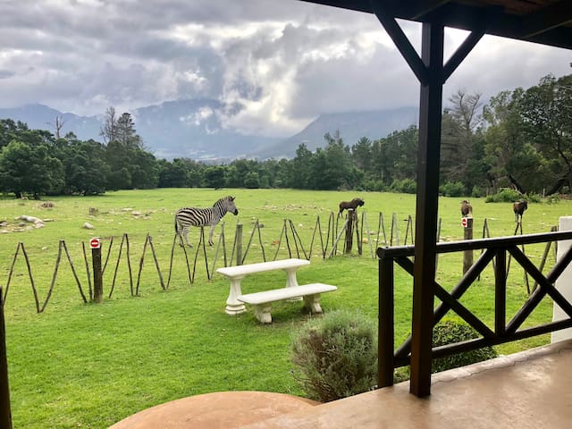 弗朗斯胡克(Franschhoek)的民宿