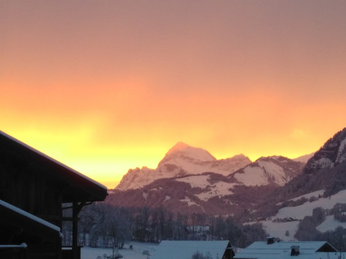 Le Grizzli Appartement chaleureux en pied de piste