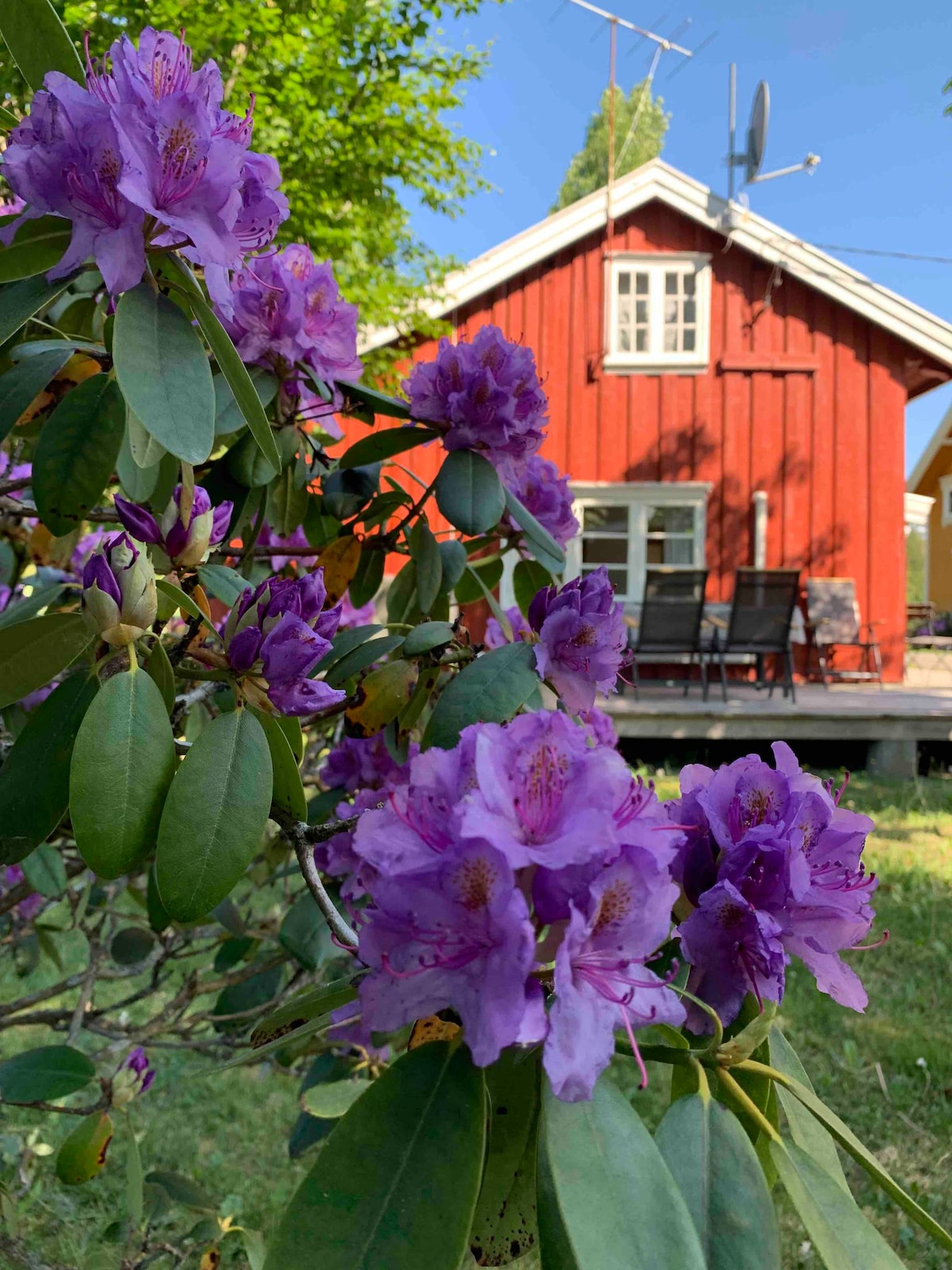 Koselig gjestehus i gårdstun