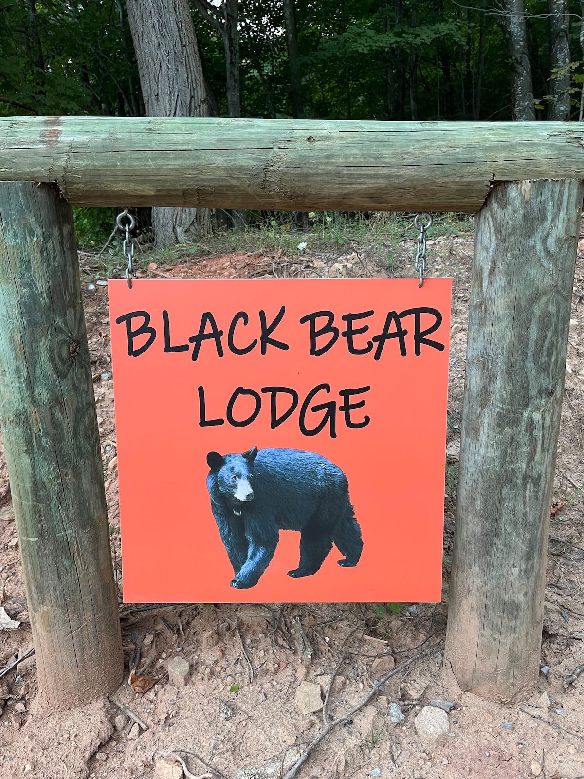 Bear Lodge是您的云杉旋钮徒步旅行目的地。