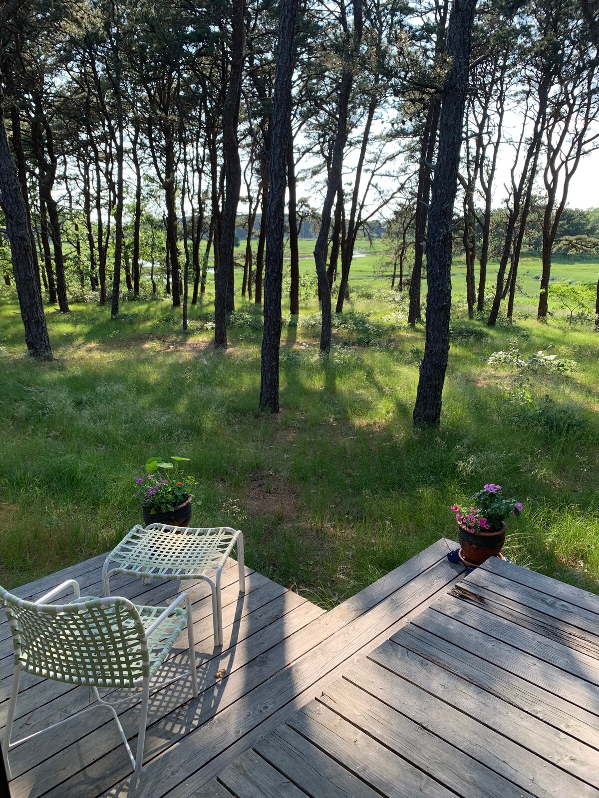 Sun-filled studio with marsh views