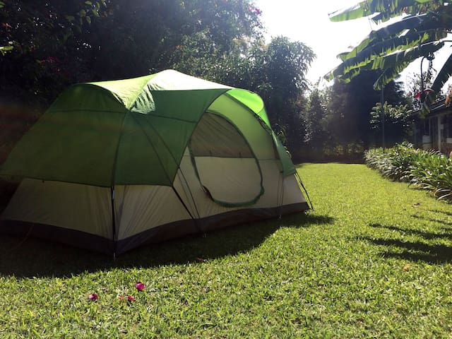 Tepoztlán, Morelos的民宿