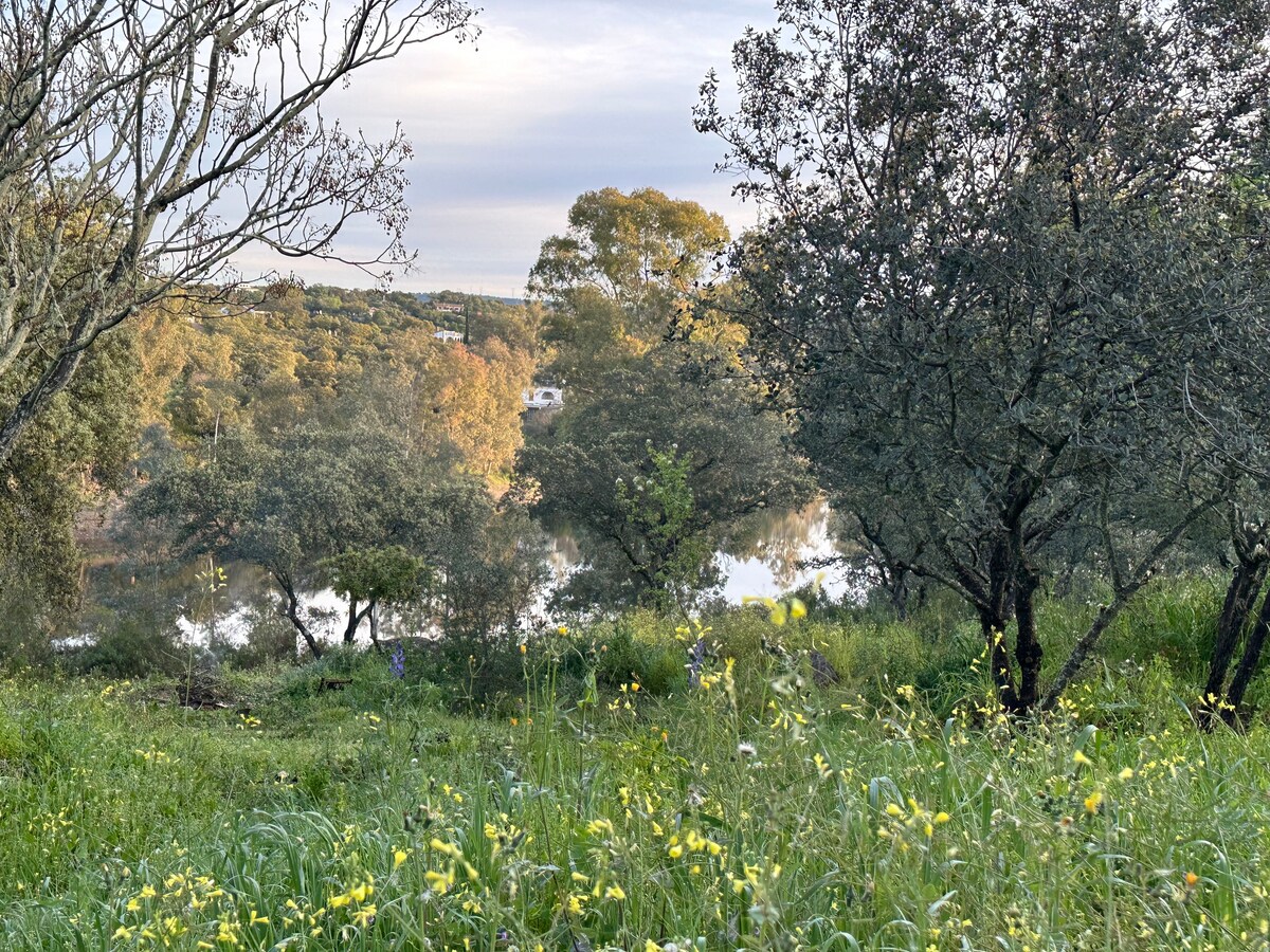 La casa del lago