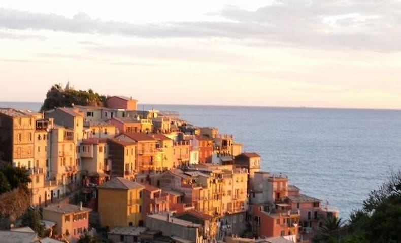 马纳罗拉 (Manarola)的民宿