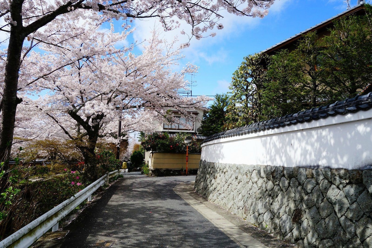 京都干净酒店B3周边三条铁路直达伏见稻荷大社/清水寺/八阪神社/祗园/京都站，交通方便车站附近3分钟