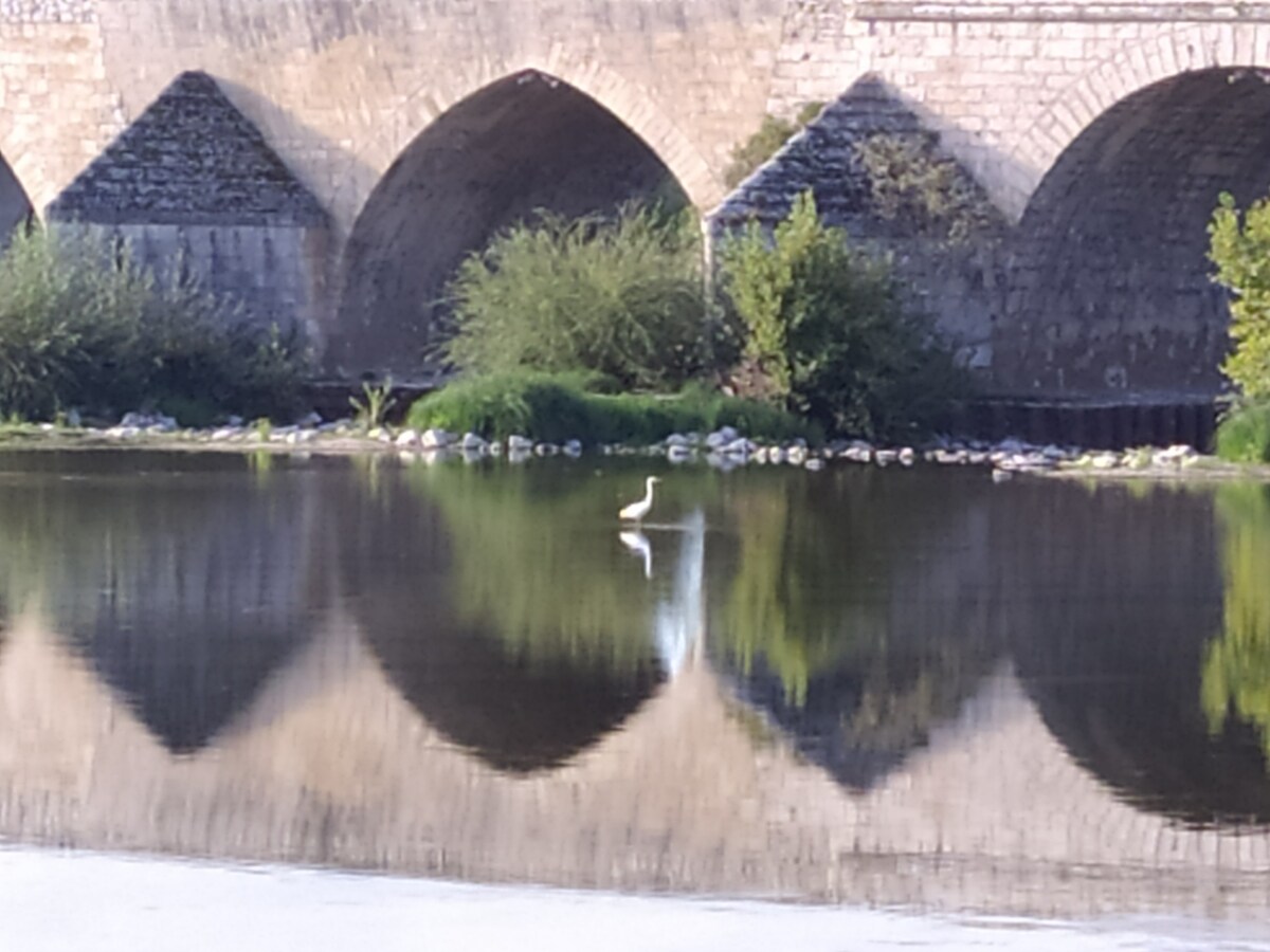 La Chambrette, bord de Loire ，靠近市中心。