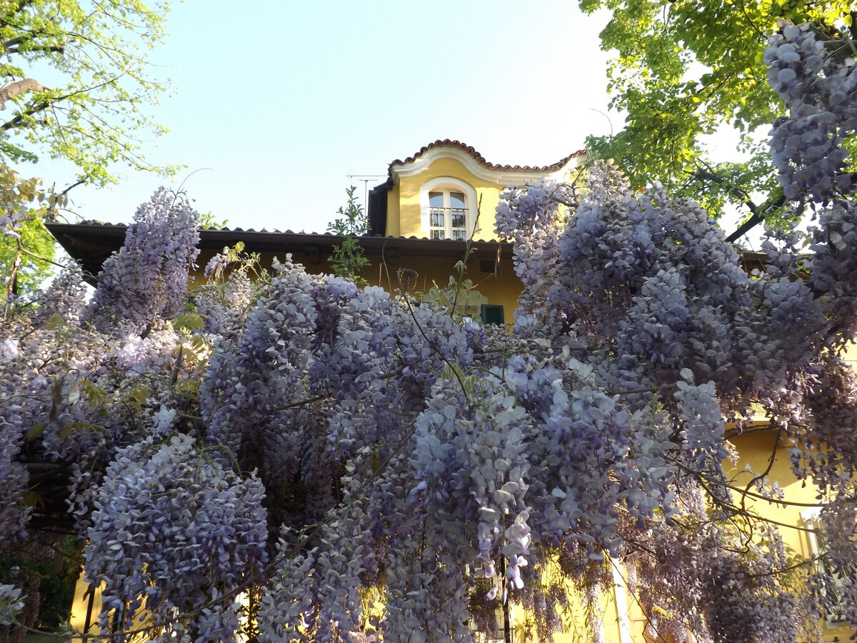 Villa Mirano B&B Camera AZZURRA