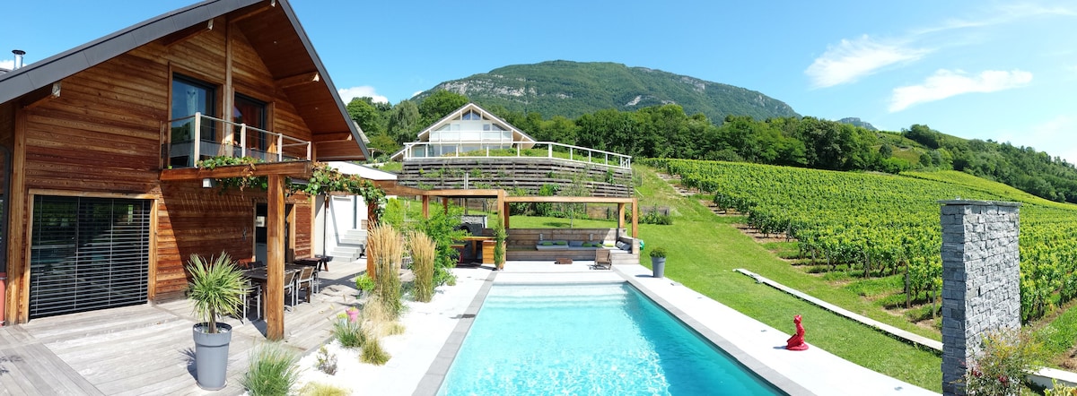 萨瓦（ Savoie ）面向山脉的房子！
