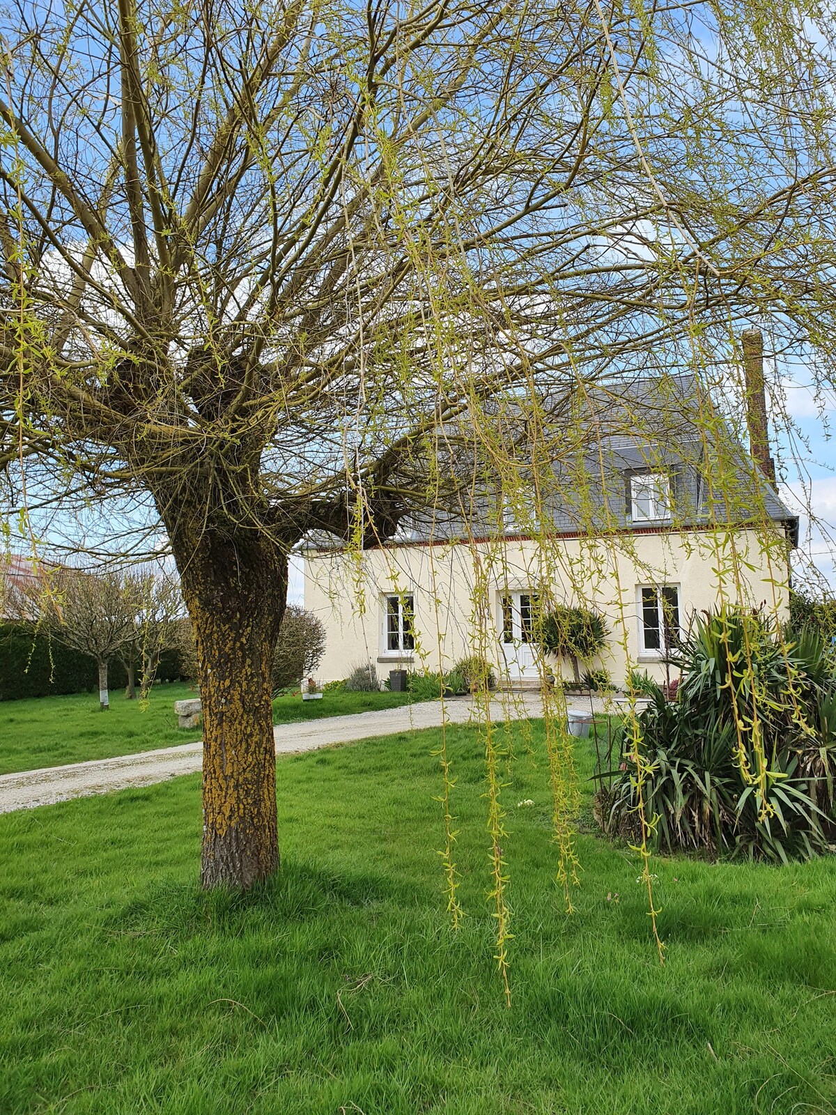 au Petit Paradis, Chambre Royal