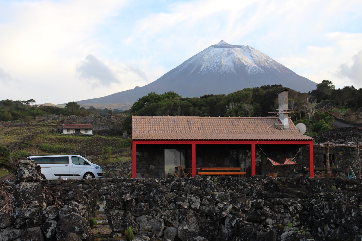 Adega Fraga - Cabrito Ilha do Pico Açores